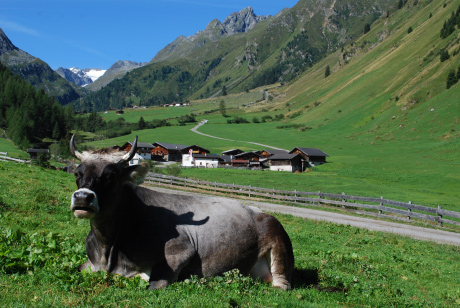 Brollerhof-Alm